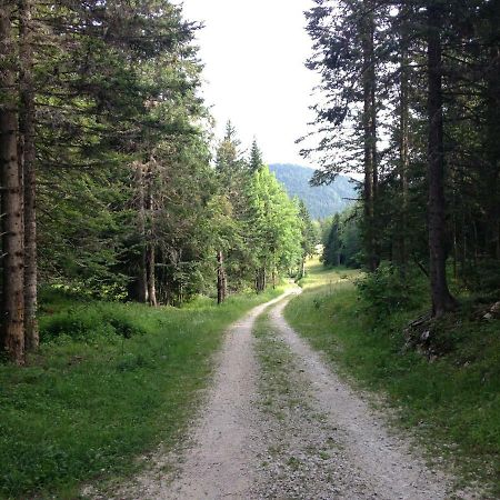 Beau Site Διαμέρισμα Villard-de-Lans Εξωτερικό φωτογραφία