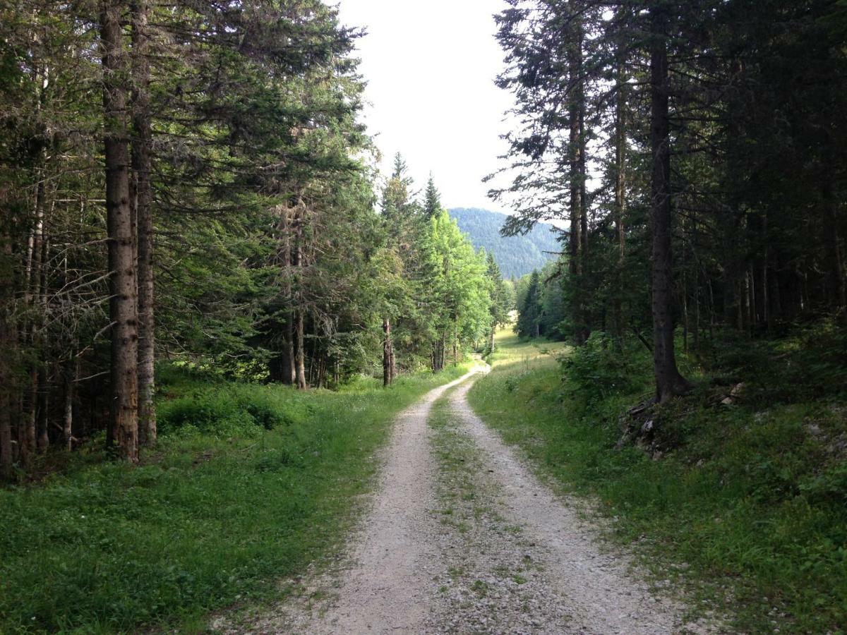 Beau Site Διαμέρισμα Villard-de-Lans Εξωτερικό φωτογραφία